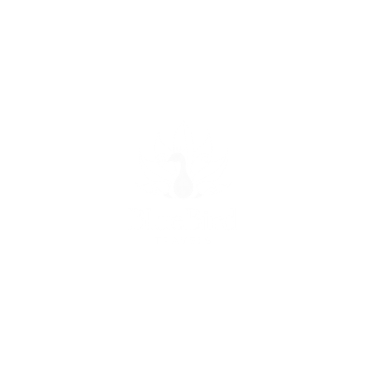 client image